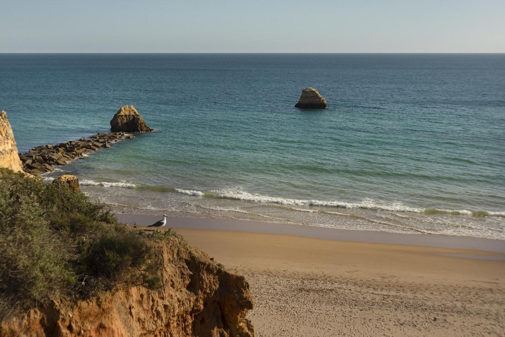 New - Portimao Casinha Apartment Exterior photo